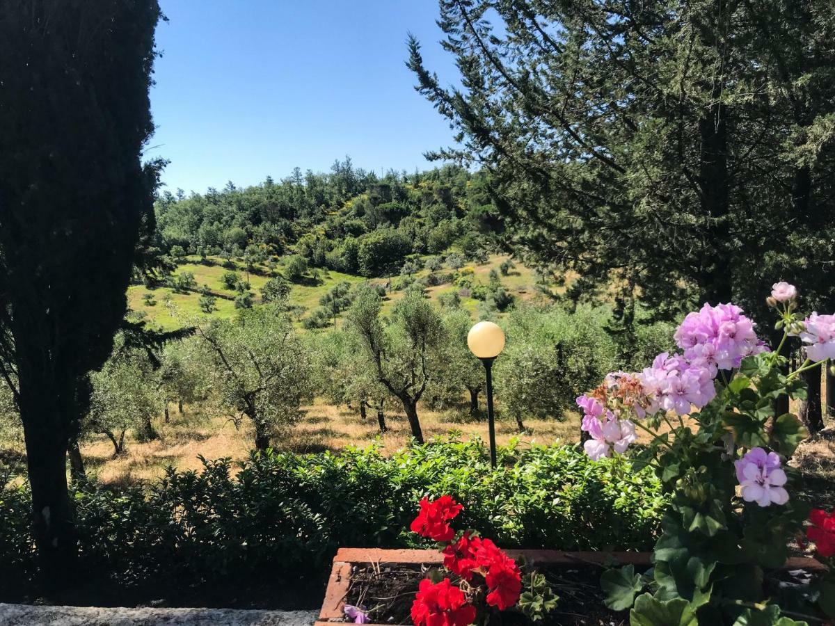Agriturismo Testalepre Greve in Chianti Dış mekan fotoğraf